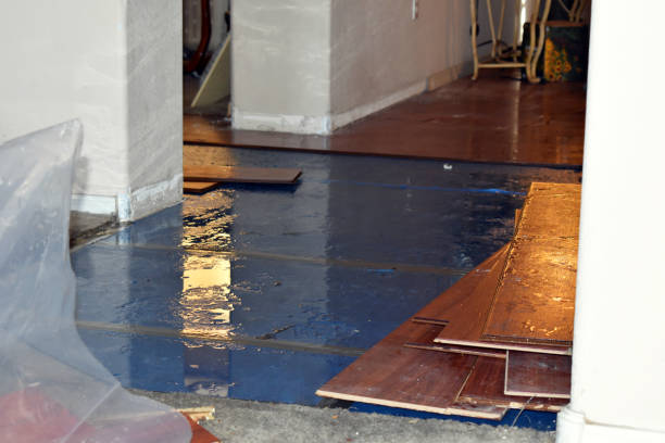 Professional Sewage Cleanup technician working in Franktown, CO